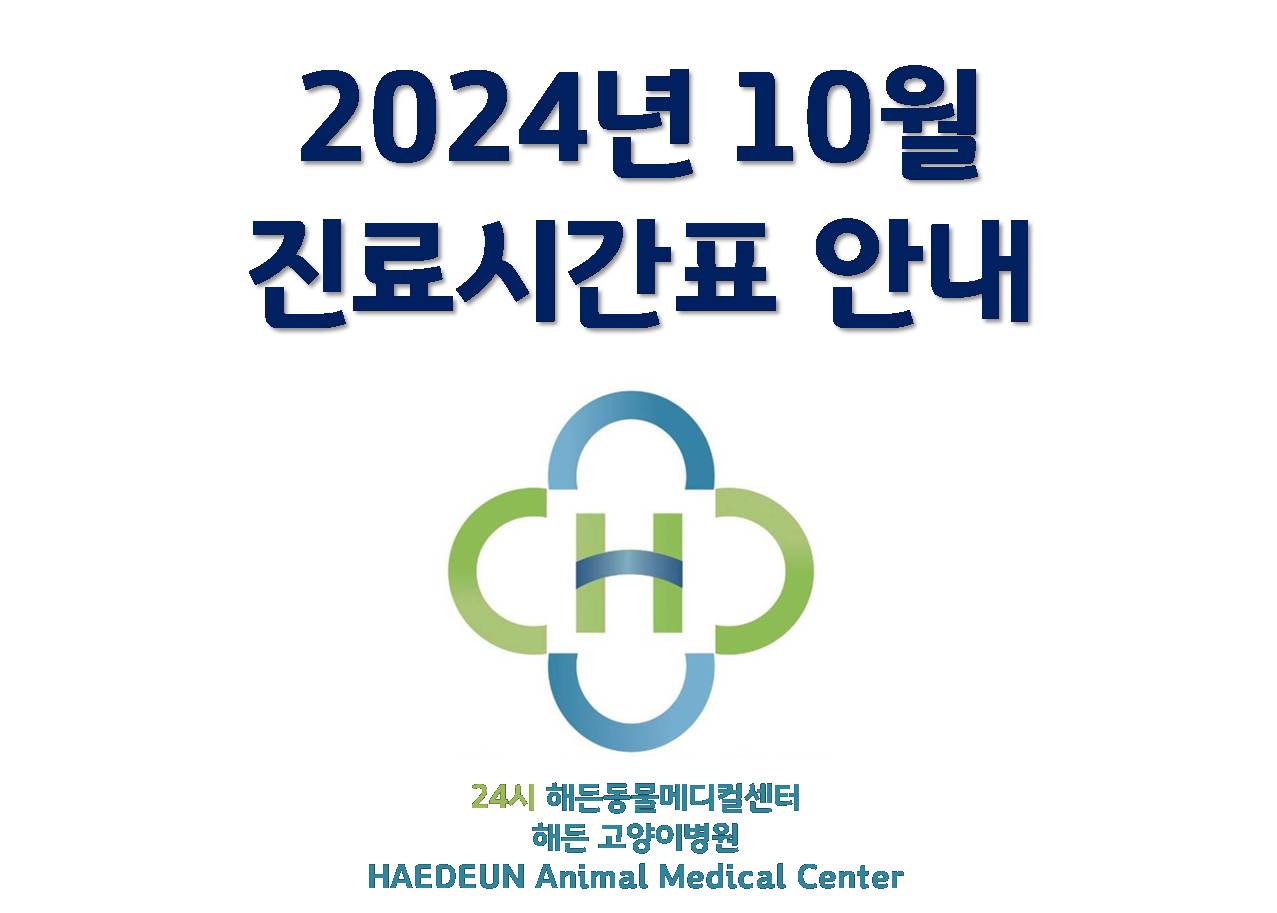 2024년 10월 진료시간표 안내