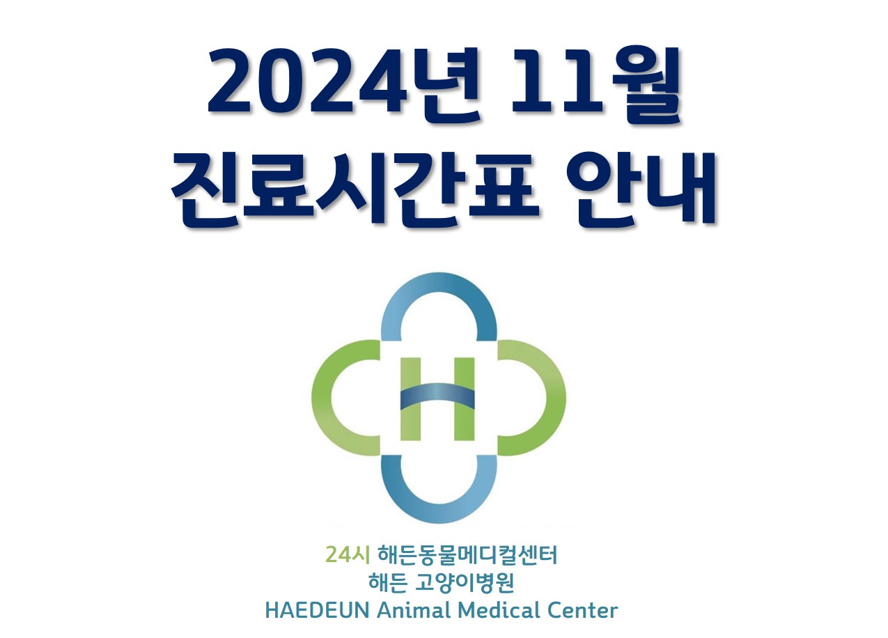 2024년 11월 진료시간표 안내