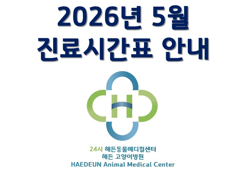 2026년 5월 진료시간표 안내